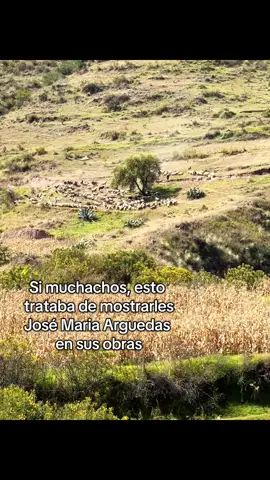 La vida del campo Ayacuchano #peru #andes #ayacucho #josemariaarguedas #obras #campo #contenido #ovejas #cosecha 
