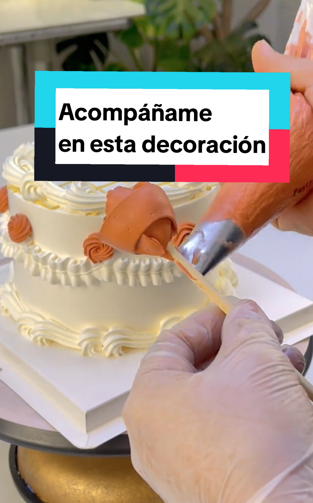 #decoraciondetortas #pasteleria #tortascaseras #tips 