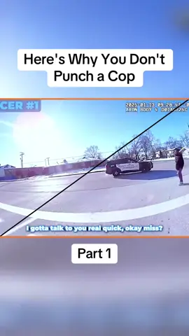 Here's Why You Don't Punch a Cop part 1#cops #copsoftiktok #police #policeofficer #bodycam #foryou #fyp 