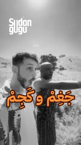 القوات الجوية السودانية | كجِم شديد  ‏#🇸🇩 #💪 #viral #trending #CapCut  #sudanese_tiktok #sudan 