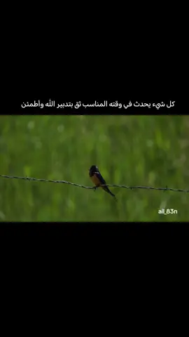 #مشاهدات #شورحاتي 