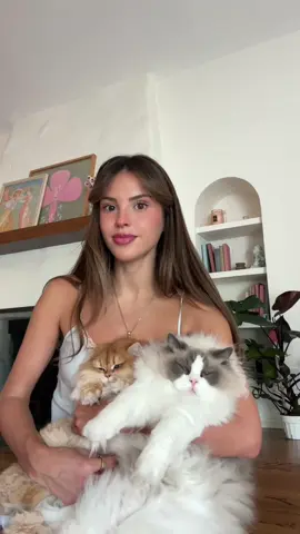 nothing ever goes right here