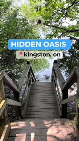 Need a break from city life without ever leaving the city?🏙️ Check out Lemoine Point in Kingston for the perfect hidden oasis, tucked perfectly in the west end of the city 🌱🍄🌻 Lemoine Point Conservation Area has 11 km of walking trails, scenic lookouts, and little creatures 🪺🐿️🐦‍⬛🦆  #discoverontario #discovercanada #exploreontario #wildlifeconservation #thingstodo #fyp 