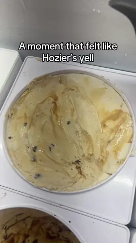 The first scoop of the tub is the best feeling🙃🙃 #hozier ##hoziersyell##soflo##foodies##besticecreamever##icecreamlover##larrysicecreamcoralsprings##scoop