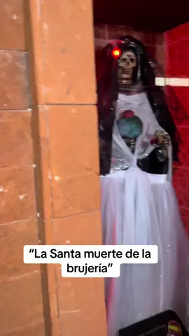 Santa muerte de la brujería #viral #brujo #humor 