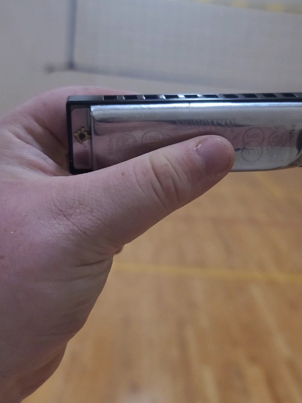 Need me a prison  #fyp #harmonica #fypシ 