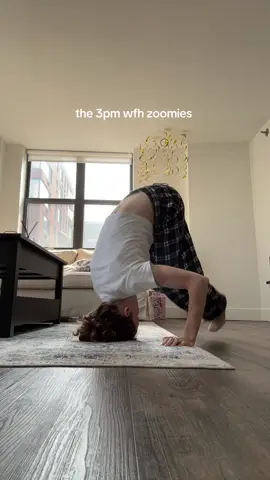featuring what I could’ve SWORN was me breakdancing at the end #wfhlife #wfh #workfromhome 