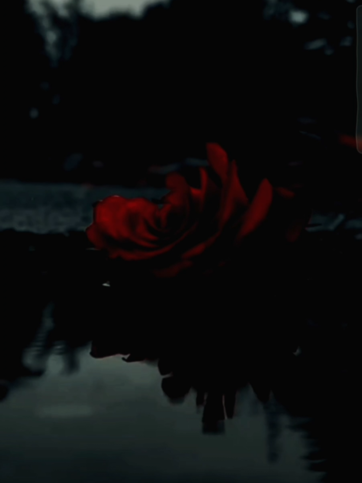 Give all of yourself to me #narrator #fyp #viral #darkromance #BookTok #maskedmen #voiceactor 