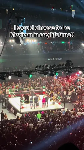 Viva La raza 🇲🇽 #mexican #culturamexicana #luchalibre #vivalaraza #mexicanpride #lwo #latinoworldorder #worldscollide 