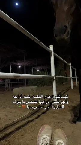#explore #fyp #الشعب_الصيني_ماله_حل😂😂 #foryou #خيل_وخياله🐎 #خيل #قفز_حواجز #مربط_بهجه 