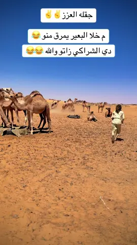 ##سودانيز_تيك_توك_مشاهير_السودان ##الشعب_الصيني_ماله_حل😂😂 ##ترند_تيك_توك @﮼ودالعمدة👑🤍 