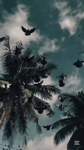 إن شئتم نيل الشفاعة في غدآ #صلوا_على_رسول_الله #مصطفى_حمدو #صدقة_جارية #أجر_لي_ولكم #اكسبلور #سوريا_تركيا_العراق_السعودية_الكويت #CapCut 