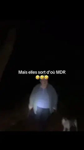 #🤣🤣🤣 #drole #humour #rire #fourire #videoviral 