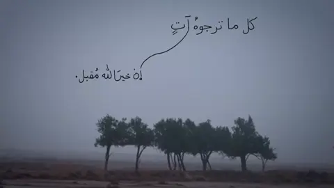 #قصائد_حسينية 