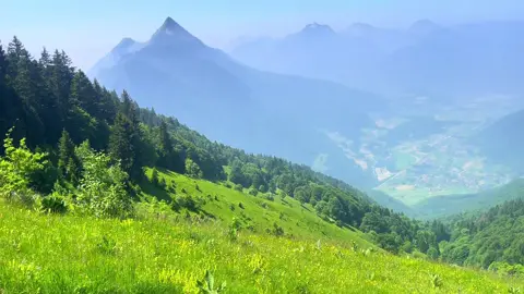 #mountain#nature#peace#Summer#vibe#fff#fyp#on#alps 