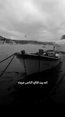 #شعراء_وذواقين_الشعر_الشعبي 