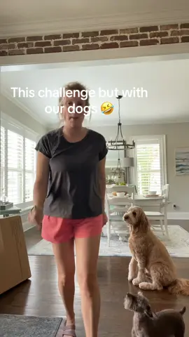 Squirrel! 🐿️ #cupidshufflechallenge #cupidshuffle #dogshuffle #hilarious #goldendoodle #minischnauzer 