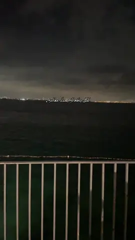 #عرب48 #trend #اقتباسات📝 #اقتباس #اقتباسات #كتابات #عكا #دنيازاد #سور_عكا_حيفا_يافاا_الناصره #بحر #الطيبه_المثلث #قلنسوه_طيبه_طيره #الشمال #foryou #foryoupage #fyppppppppppppppppppppppp #فوريو_العرب #فوريو #اكسبلورexplore #اكسبلوررر 