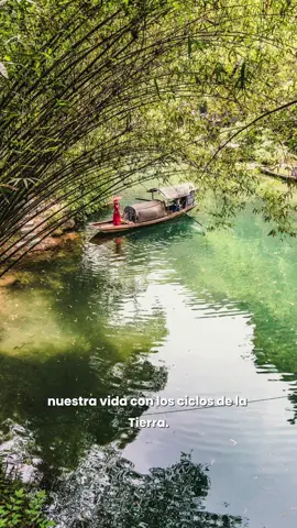 ☀️ Xiaoshu (小暑): cuando el verano comienza a madurar. No es solo calor: es un momento de equilibrio, de cosecha y de conexión con la naturaleza.  El calendario solar chino nos enseña a vivir cada estación con armonía y sabiduría ancestral. 🇨🇳 Descubrí Xiaoshu y la profundidad del calendario tradicional.  #Xiaoshu #CalendarioSolarChino #CulturaChina #EmbajadaDeChinaEnBolivia #SabiduríaAncestral