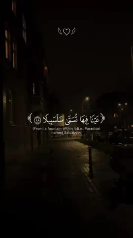 رح سمعك وقلبك | ياخي صوت 😔❤️ #محمد_الحيدان #سورة_الإنسان #عينا_فيها_تسمى_سلسبيلا #واذا_رايت_ثم_رايت_نعيما_وملكا_كبيرا #رح_سمعك_بالقران #اكتب_شي_توجر_عليه #اللهم_صل_وسلم_على_نبينا_محمد 