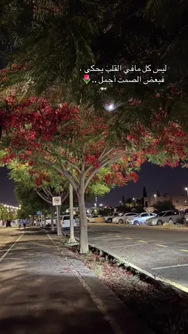 #اكسبلوررررررررررررررررر♡explore❥🕊🤍🤍🤍🤍 