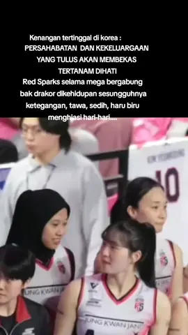 #megawatihangestri  #yeumhyeseon  #jeondabin  #vollymania  #fypage  #booseungkwanseventeen 