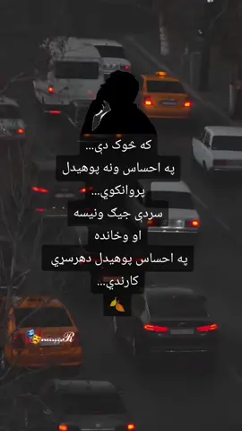 #news_of_life786  