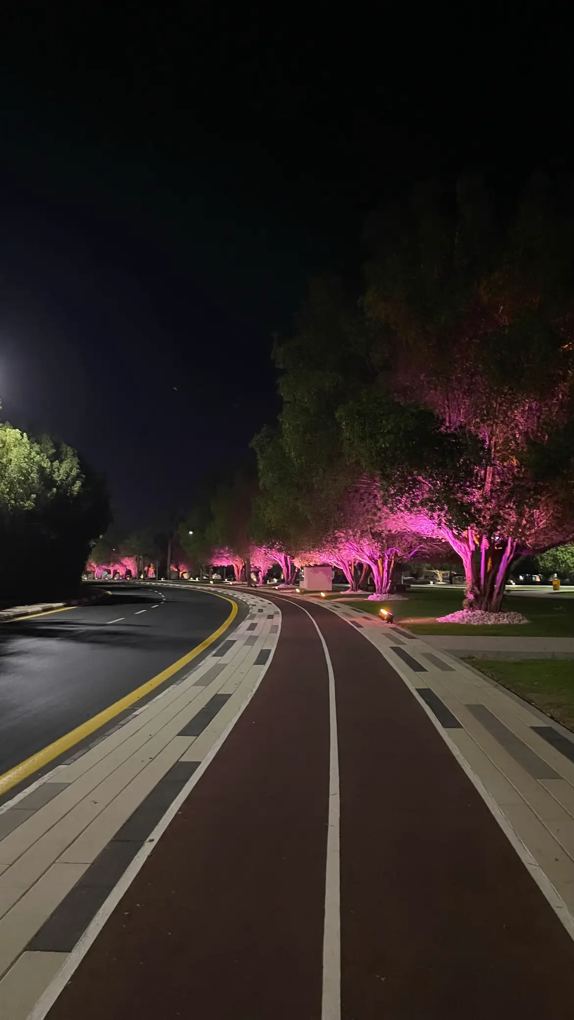 #بقيق #الشرقيه #fyp #تصوير #هواجيس #ليل #حديقة 