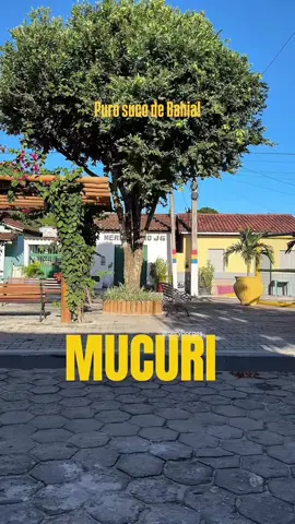 ⸻ Mais uma da série: EU ❤️ MUCURI Praia, sol, mar, rua, praça… tudo em vídeo, tudo de verdade. Aqui, o simples encanta. Aqui, a vida tem outro ritmo. Venha sentir Mucuri com os pés na areia e o coração leve. Ao som da Banda Didengo e Rodrigo de Lara! 🎶🔥 🌊☀️ #EuAmoMucuri #VemPraMucuri #BahiaÉLogoAli #SimplesmenteMucuri #BandaDidengo #RodrigoDeLara #tantão @DiDengo @Rodrigo De Lara 