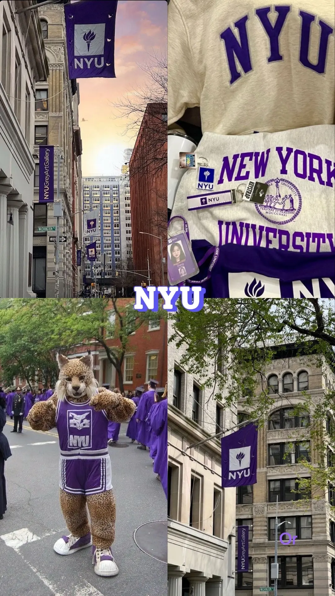 #nyu #newyorkuniversity #huntercollegenewyork #huntercuny #fyp #xyzbca #trend #classof2032 #dream 