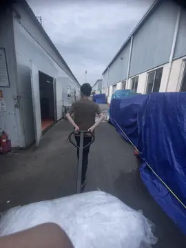 Lúc nhỏ, luôn nghĩ rằng lớn lên làm này làm kia, sống một cuộc đời thật rực rỡ. Nhưng lúc lớn rồi mới biết, sống sót thôi cũng đã đủ khó khăn rồi.. #xh #xhtiktok 