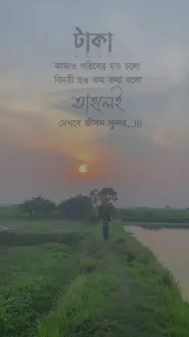 Part 639 | টাকা কামাও গরিবের মত চলো বিনয়ী হও কম কথা বলো তাহলেই দেখবে জীবন সুন্দর...!!! #foryou #fyp #foryoupage #statusvideo #sadvideo#unfrezzmyaccount @For You House ⍟ @TikTok Bangladesh @TikTokCreators_ID 