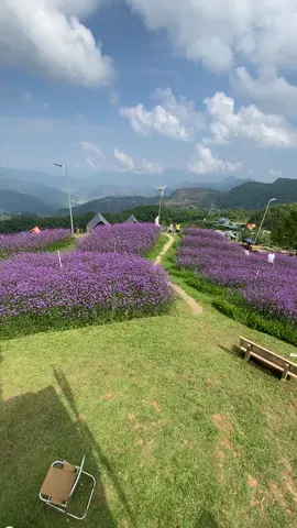 #dicanh #phadinpass☘️ mat mat
