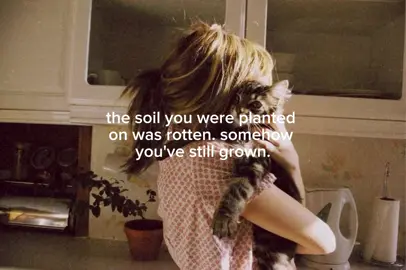 the soil you were planted on was rotten. somehow you've still grown. im proud so of you #fyp #foryou #reposts #quotes #healing #MentalHealth 