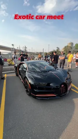 EXOTIC CAR MEET #car #exotic #bugatti #lamborghini #ferrari #porsche 