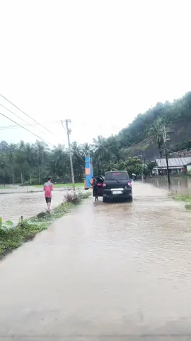 Gagal panen lagi,semoga ada hikmah di balik ini semua🥲🥺#bencanabanjir #banjir 