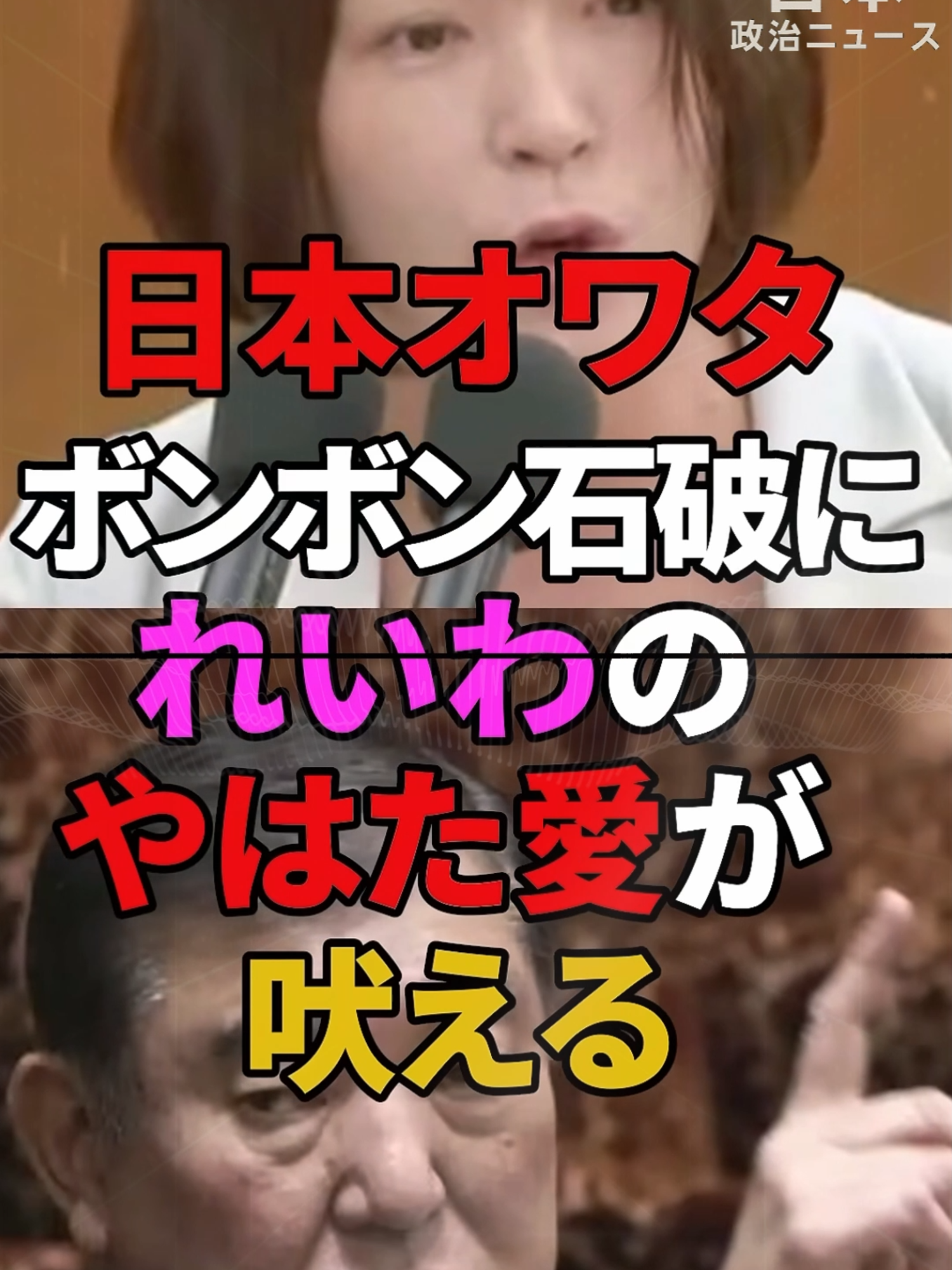 【八幡あい】社会保険料を滞納したことがあるかという質問に、冷たい返答の石破総理。【れいわ新選組】#山本太郎 #れいわ新撰組 #政治 #自民党