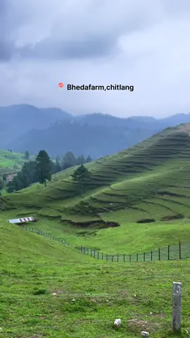 📍Bhedafarm, Chitlang #bestplacestovisit #chitlang #foryoupage #fyp #trending #monsoon 