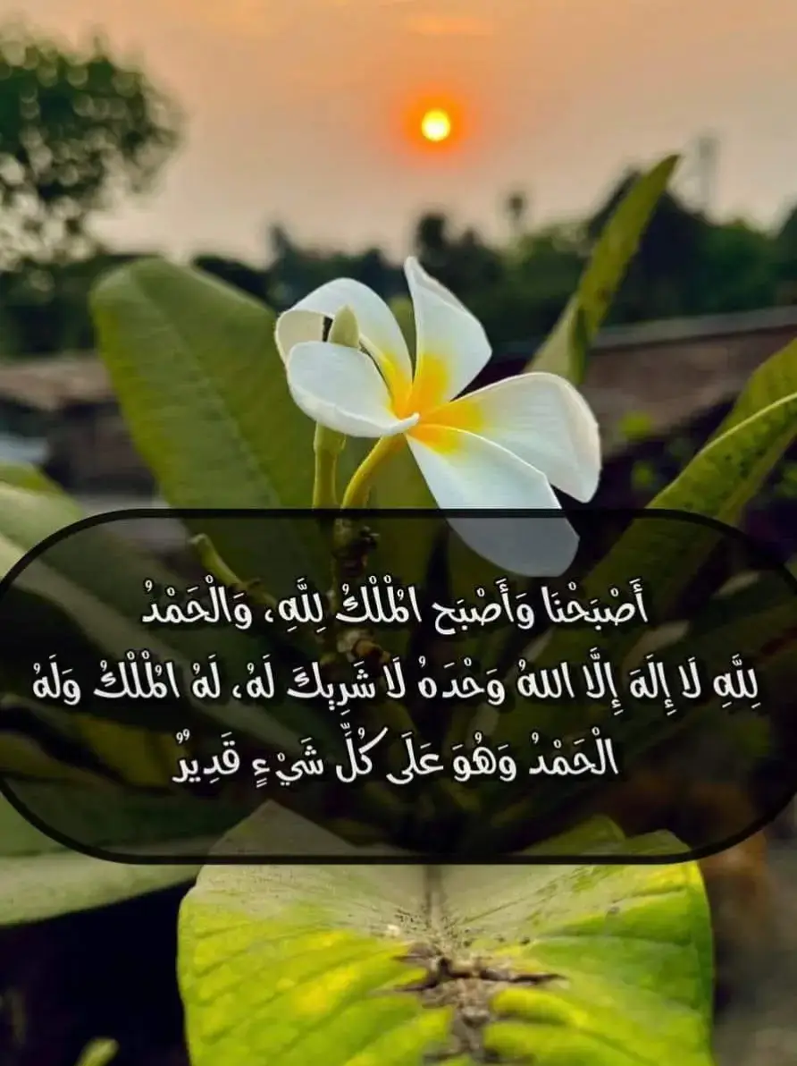 أَصْبَحْنَا وَأَصْبَح الْمُلْكُ لِلَّهِ، وَالْحَمْدُ لِلَّهِ لَا إِلَهَ إِلَّا اللهُ، وَحْدَهُ لَا شَرِيكَ لَهُ، لَهُ الْمُلْكُ وَلَهُ الْحَمْدُ وَهُوَ عَلَى كُلِّ شَيْءٍ قَدِيرٌ، رَبِّ أَسْأَلُكَ خَيْرَ مَا فِي هَذا اليوم وَخَيْرَ مَا بَعْدَهَ، وَأَعُوذُ بِكَ مِنْ شَرِّ مَا فِي هَذا اليوم وَشَرِّ مَا بَعْدَه، رَبِّ أَعُوذُ بِكَ مِنَ الْكَسَلِ وَسُوءِ الْكِبَرِ، رَبِّ أَعُوذُ بِكَ مِنْ عَذَابٍ فِي النَّارِ وَعَذَابٍ فِي الْقَبْرِ