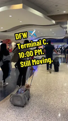 Late night at DFW. Terminal C is full of motion. Rolling suitcases, quiet conversations, and the constant background noise of travel. Just observing. #visualasmr #dfwairport #nighttravel #airport #peoplewatching 