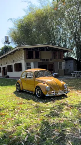 #volkswagen #volkswagenbeetle #vw #vwbeetle #vw1967 #รถเต่า #รถโฟล์ค 