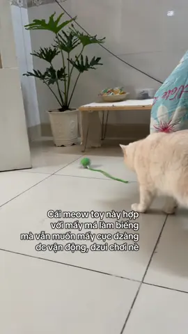 Hết pin thì sạc, được cái đi làm về mệt để tụi nó tự chơi. Đỡ tu ki #fyp #xuhuong 