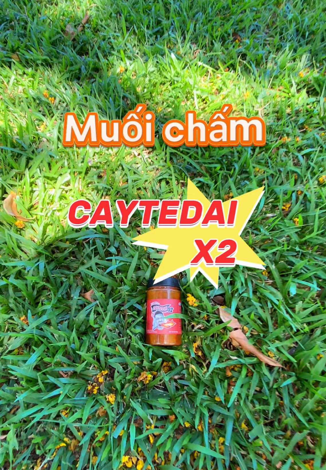 Mukbang các loại tôm hùm cùng muối Caytedaix2 của anh Lâm Vlog #sotchamcaytedai #sotcham #sotchamlamvlog #muoichamcaytedai #muoicaytedai 