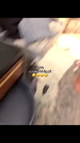 @جارالله العجمي @جارالله السهلي @محمد حمد الحرفان @BADER 🌷 فصلاتهم رهيبه 🤣😭💔