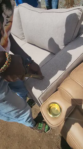 #kitisuru #ruaka #foryoupage 