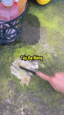 Tẩy Đa Năng Rong Rêu Đồ Hay Lắm Nè #hienonha 