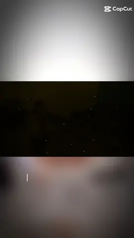 #CapCut 
