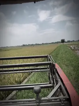 #xuhướng 