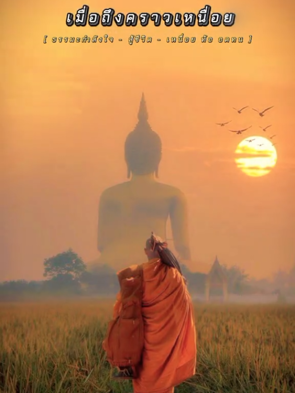 #ฝากช่องcapcutด้วยค่ะ👆  #ธรรมะ #กําลังใจ #สอนใจ #ธรรมะเป็นที่พึ่ง #ธรรมะสอนใจ #เทรนด์วันนี้#อดทน  @M.D'en