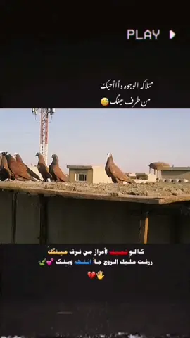 الشعب_الصيني_ماله_حل😂😂